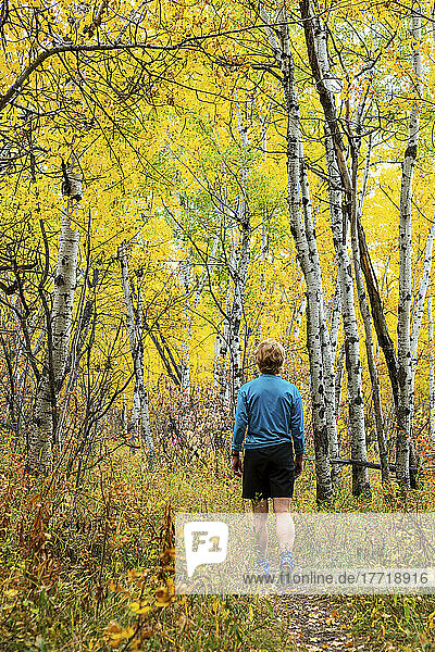 Wanderin auf Waldweg mit bunten Herbstfarben; Calgary  Alberta  Kanada