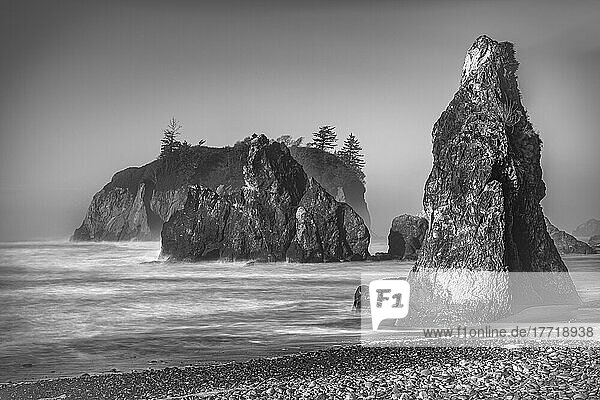 Black and white image of sea stacks and Abbey Island at Ruby Beach in the Olympic National Park  on the Washington Coast; Kalaloch  Washington  United States of America