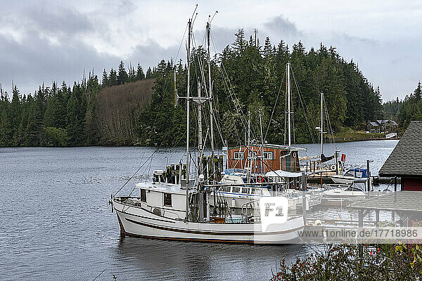 Im Hafen von Bamfield  Vancouver Island  vertäute Boote; Bamfield  British Columbia  Kanada