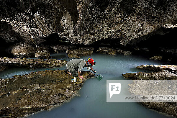 Ein Biologe fängt mit einem kleinen Netz Fische zur Analyse in der Cueva de Villa Luz.