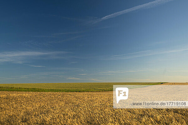 Fields at dawn in the rolling hills of Cambridgeshire near Duxford; Cambridgeshire  England  United Kingdom