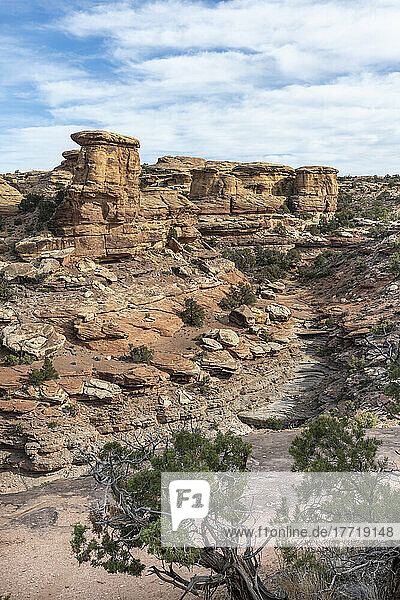 Blick in eine Schlucht mit gestapelten und fließenden Felsen und interessanter Geologie im Canyonlands National Park; Moab  Utah  Vereinigte Staaten von Amerika