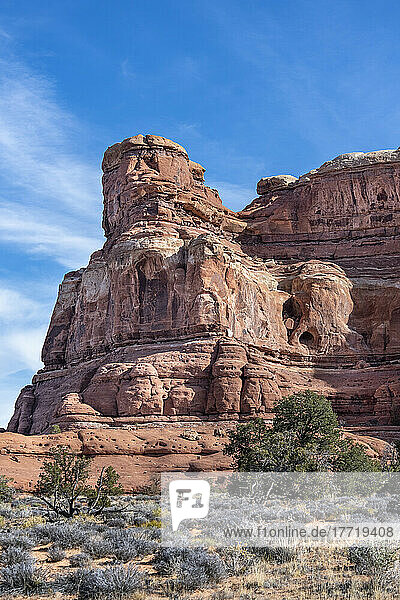 Felsformationen im Canyonlands National Park; Moab  Utah  Vereinigte Staaten von Amerika