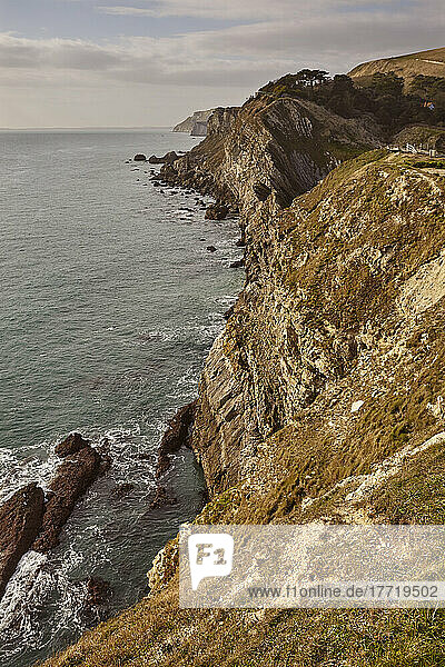Klippen bei Lulworth Cove  im Weltkulturerbe Jurassic Coast  Dorset  Großbritannien; Dorset  England
