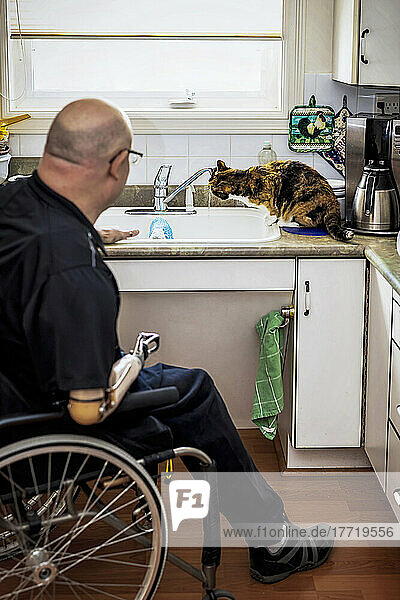 Mann mit doppelter Gliedmaßenamputation arbeitet zu Hause in der Küche  während seine Hauskatze Wasser aus dem Wasserhahn des Spülbeckens trinkt; St. Albert  Alberta  Kanada