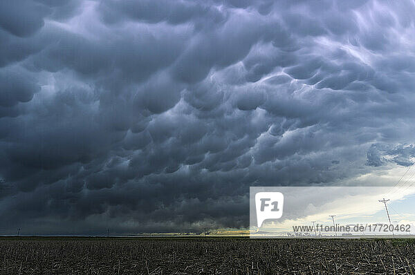 Lightning illuminates a huge bank of mammatus cloud that fills the sky over the Great Plains; Colorado  United States of America