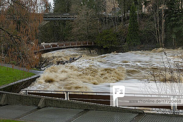 Hochwasser an den Tumwater Falls des Deschutes River; Olympia  Washington  Vereinigte Staaten von Amerika