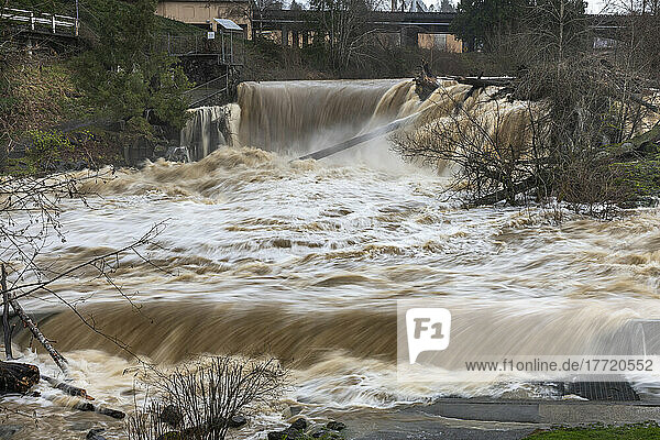 Hochwasser an den Tumwater Falls des Deschutes River; Olympia  Washington  Vereinigte Staaten von Amerika