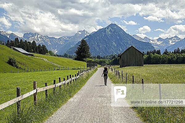 Wanderin auf Kalkofenweg  hinten Allgäuer Alpen  bei bei Oberstdorf  Oberallgäu  Allgäu  Bayern  Deutschland  Europa