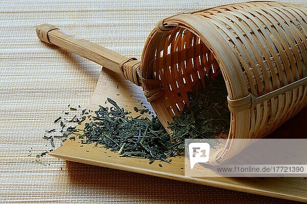 Sencha-Tee in Bambussieb  Grüner Tee  Grüntee  Japan  Asien