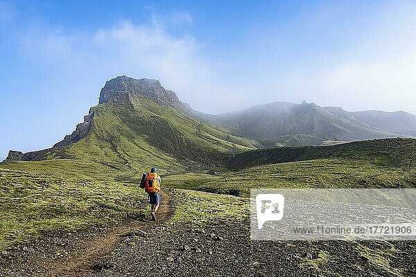 Hikers on trail through moss-covered mountain landscape  volcanic landscape at Fimmvörðuháls hiking trail  Þórsmörk Nature Reserve  Suðurland  Iceland  Europe