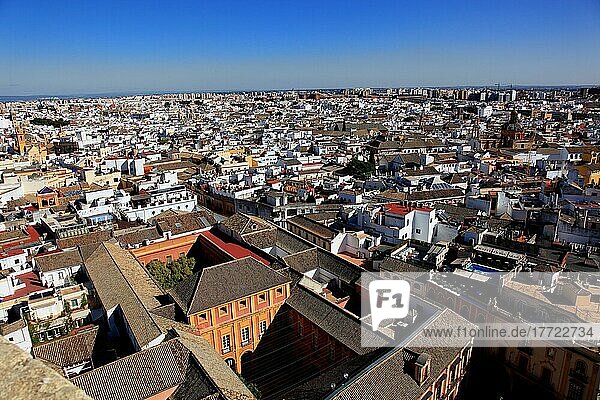 Old Town of Seville  View of the City from the Cathedral Tower  Andalusia  Spain  Europe