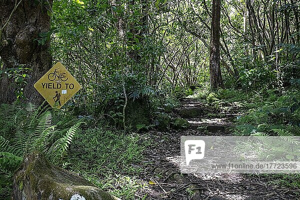 Maunawili Trail  Zugang zum Wanderweg  Oahu  Hawaii  USA  Nordamerika
