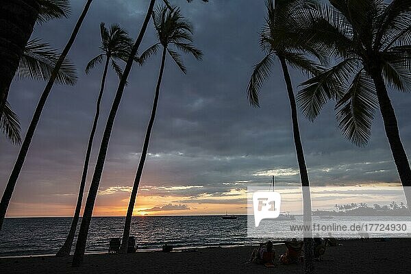 Touristen schauen sich Sonnenuntergang unter Palmen an  'Anaeho'omalu Beach  Waikoloa  Big Island  Hawaii  USA  Nordamerika