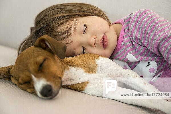 Kleines Mädchen schläft neben einem Terrier-Mischlingshund