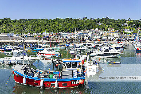 Fishing boats and yachts in the Jurassic Coast harbour at Lyme Regis  Dorset  England  United Kingdom  Europe