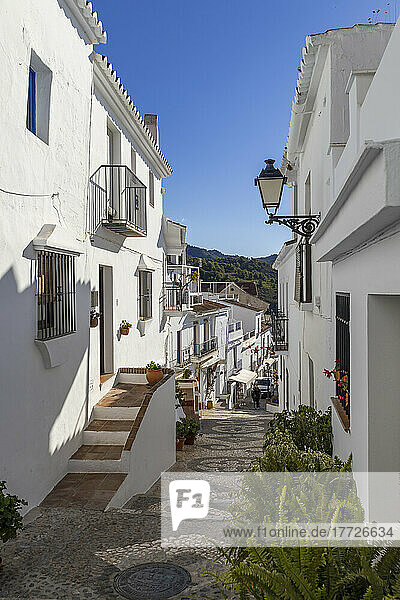 Narrow street with whitewashed Andalusian houses in the old town  Frigiliana  Malaga province  Andalusia  Spain  Europe