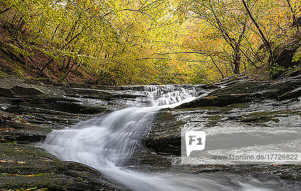 Autumn colors and foliage in a forest with a waterfall flowing between rocks  Emilia Romagna  Italy  Europe