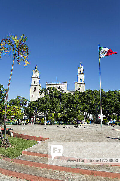 Mexican flag  Plaza Grande  Cathedral de IIdefonso in the background  Merida  Yucatan State  Mexico  North America