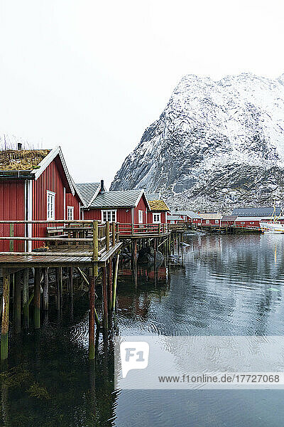 Red Rorbu cabins with grass roof in the small port of Reine  Nordland county  Lofoten Islands  Norway  Scandinavia  Europe