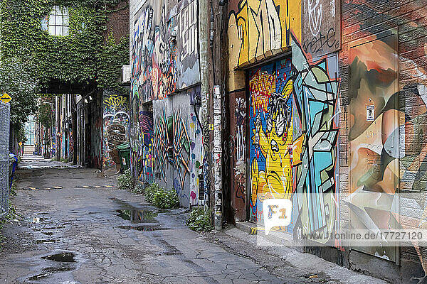 Toronto's Infamous Graffiti Alley in the Fashion District  Toronto  Ontario  Canada  North America