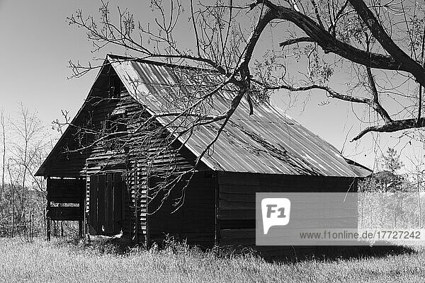 Abandoned barn  empty and ruined  black and white image.