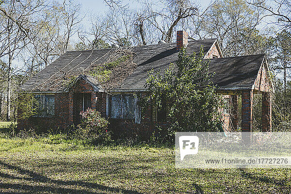 A rural homestead or small house abandoned and crumbling  overgrown with plants and shrubs.