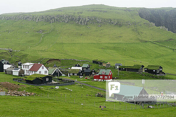 Mykines Island  Faroe Islands  Denmark  Europe