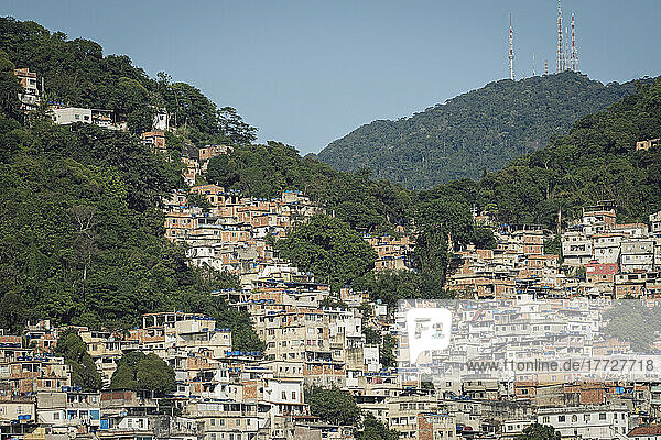 Tabajaras-Cabritos favela slum  impoverished community with poor housing  Tijuca National Park  Rio de Janeiro  Brazil  South America