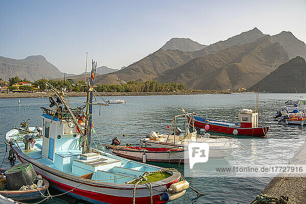View of colourful boats in harbour and mountains in background  Puerto de La Aldea  Gran Canaria  Canary Islands  Spain  Atlantic  Europe