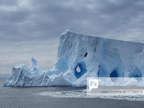 A large iceberg with holes and arches formed in it near Coronation Island  South Orkneys  Antarctica  Polar Regions