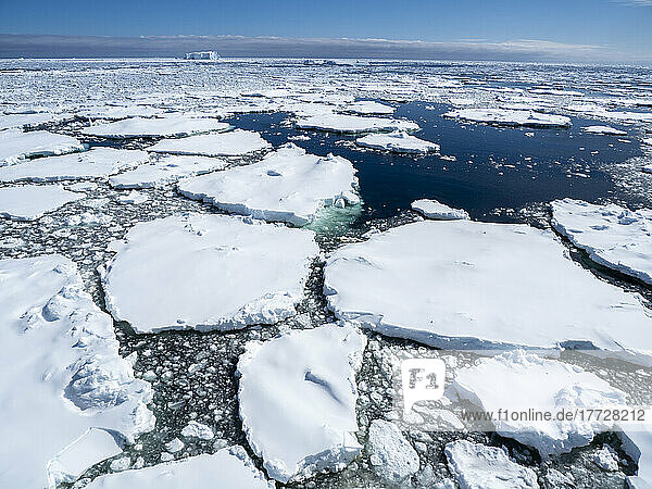 First year sea ice with glacial ice trapped near Petermann Island  Antarctica  Polar Regions