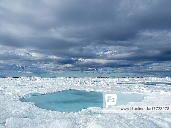 A melt water pool on first year sea ice near Snow Hill Island  Weddell Sea  Antarctica  Polar Regions