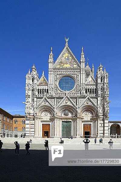 The Duomo  UNESCO World Heritage Site  Siena  Tuscany  Italy  Europe