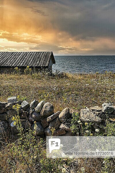 Alte Fischerhütte im Sommer  Ostsee  Westküste bei Sonnenuntergang  Insel Öland  Kalmar län  Schweden  Europa