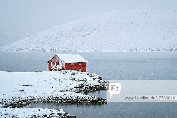 Traditionelles rotes Rorbu-Haus am Fjordufer mit viel Schnee im Winter. Lofoten Inseln  Norwegen  Europa
