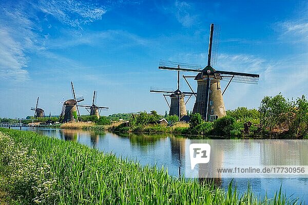 Ländliche Landschaft in den Niederlanden mit Windmühlen am berühmten Touristenort Kinderdijk in Holland