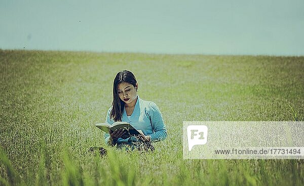 Ein Mädchen liest ein Buch im Feld  Eine Person sitzt im Gras und liest ein Buch  Attraktive Menschen sitzen im Gras und lesen ein Buch