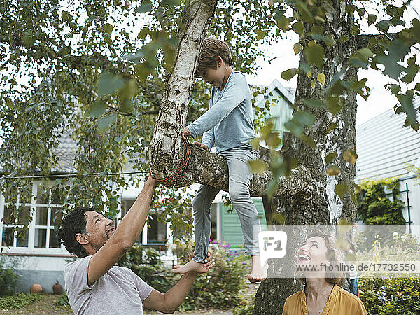 Glückliche Eltern schauen ihren Sohn an  der auf einem Baum im Hinterhof sitzt