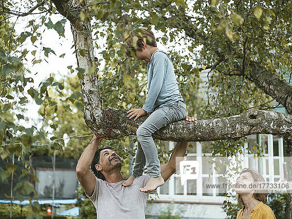 Happy parents looking at son sitting on tree in back yard