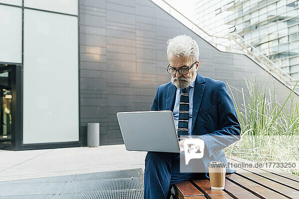 Senior businessman working on laptop on bench outside office park