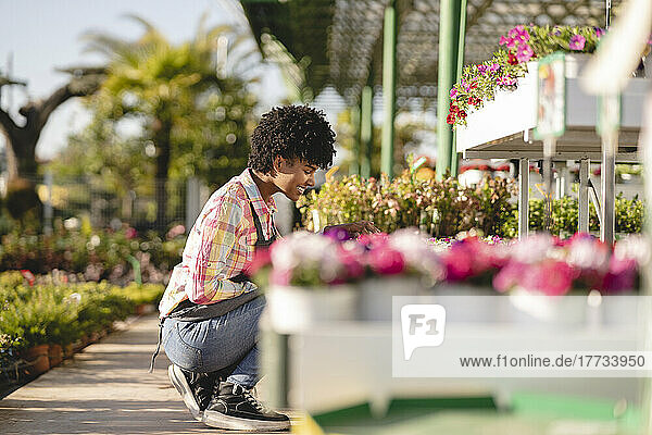 Smiling gardener crouching by plants at nursery