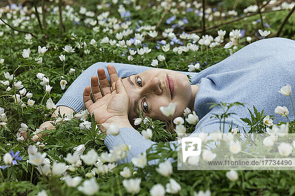 Lächelnde Frau liegt inmitten von Wildblumen auf der Wiese