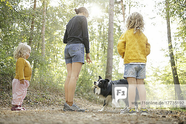 Mutter geht mit Töchtern und Hund im Wald spazieren