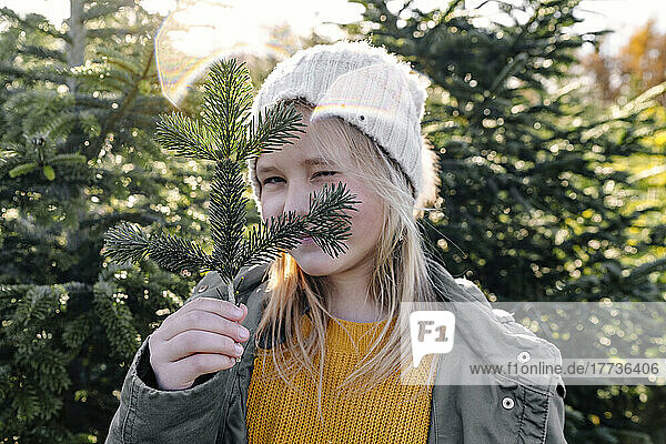 Girl holding fir branch winking at Christmas tree farm