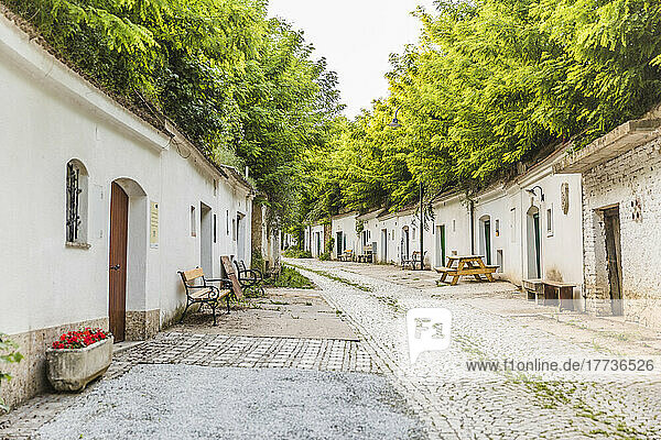 Austria  Lower Austria  Poysdorf  Wine cellars along historic Kellergasse Radyweg lane