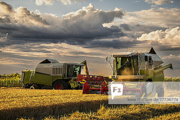 Combine harvester on wheat field under cloudy sky at sunset