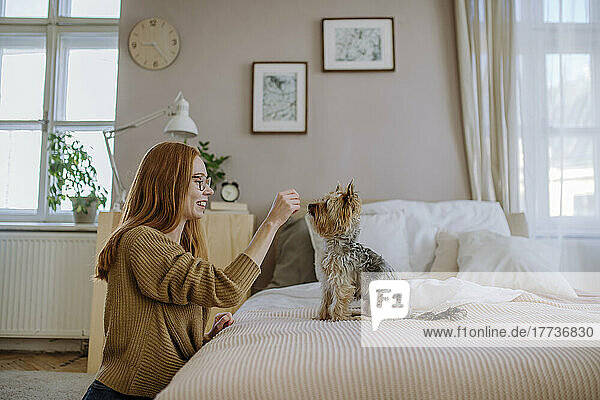 Smiling woman playing with pet dog in bedroom at home