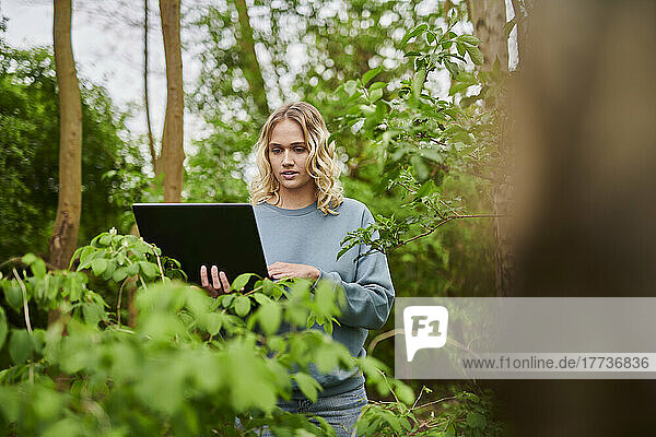 Freelancer working on laptop amidst trees in woodland