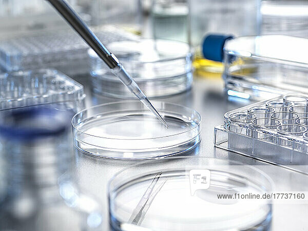 Pipette transferring solution into petri dish in laboratory